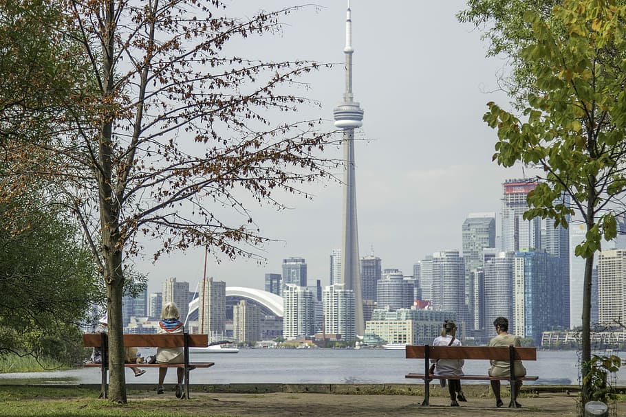 four people sits on park benches across city scape, CN Tower, Canada