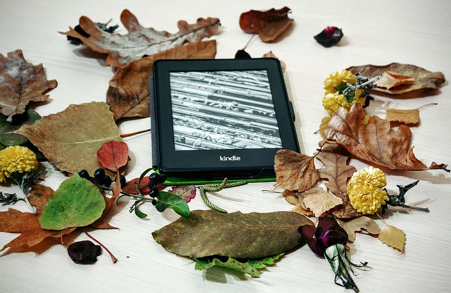 black Kindle e-book reader beside of assorted leaf lot, pepper white HD wallpaper