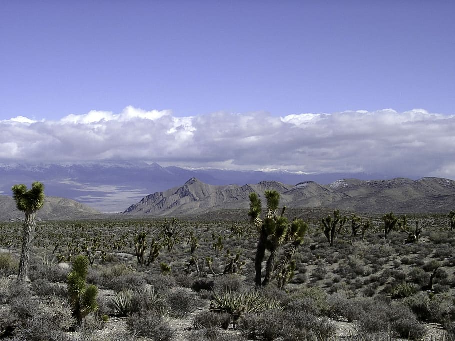 Las Vegas Desert Landscape in Nevada, clouds, photo, landscapes HD wallpaper