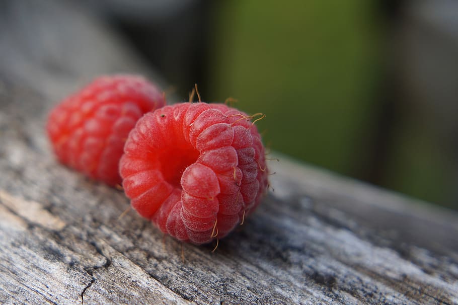 raspberry, fruit, red, summer, red fruit, nearby, healthy eating, HD wallpaper