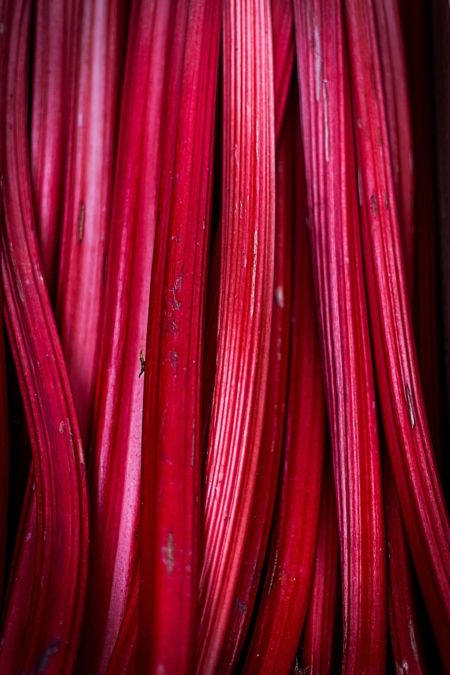 sweet candy sticks, rhubarb, fruit, pink, red, fresh, food HD wallpaper