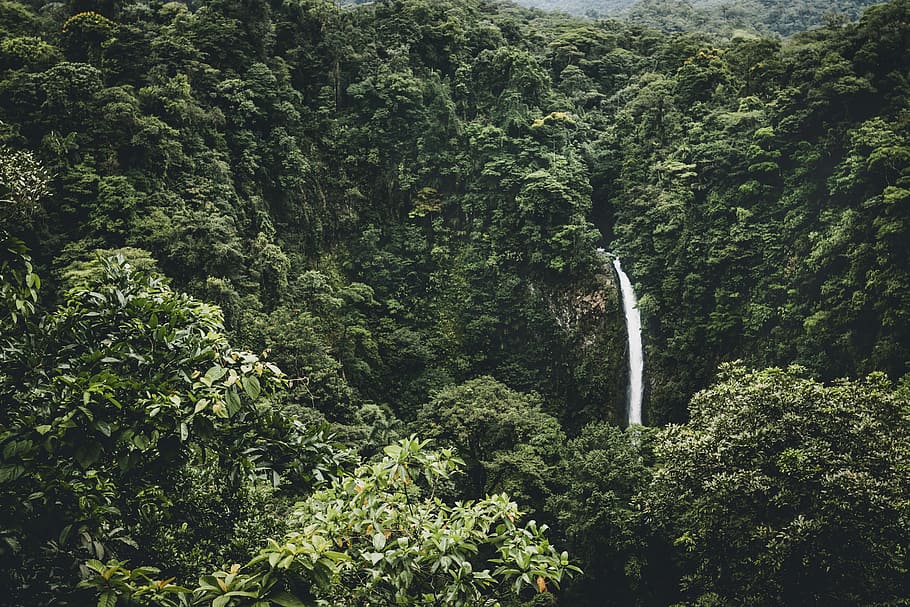 waterfalls surround by trees, landscape photography of waterfalls near green trees HD wallpaper