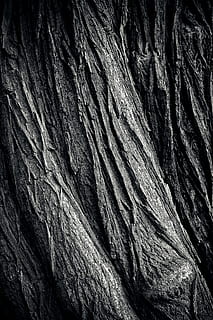 tree, tree bark, log, nature, tribe, wood, forest, structure HD wallpaper