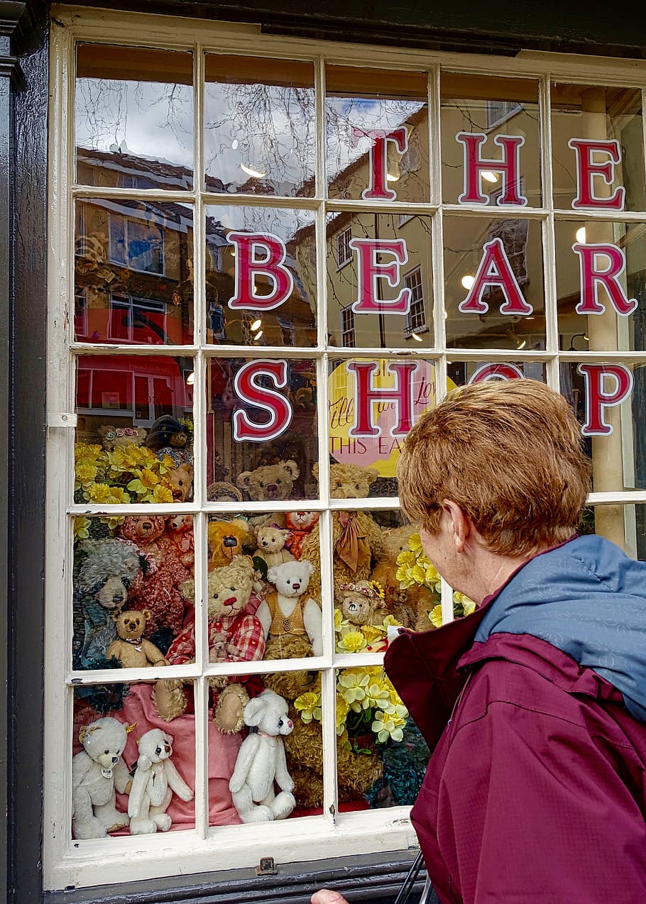 man looking at window filled with plush toys, shopping, shop window HD wallpaper