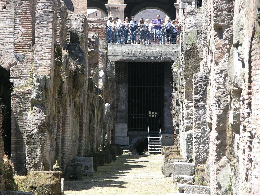 roman, gladiator, pathway, colosseum, coliseum, italy, rome HD wallpaper