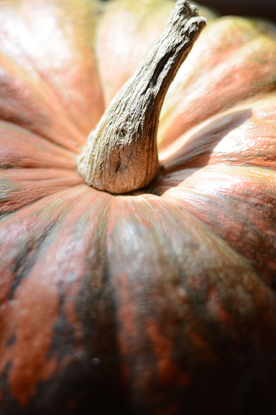 Pumpkin, Macro, Natural, Shadow, Light, food and drink, vegetable HD wallpaper