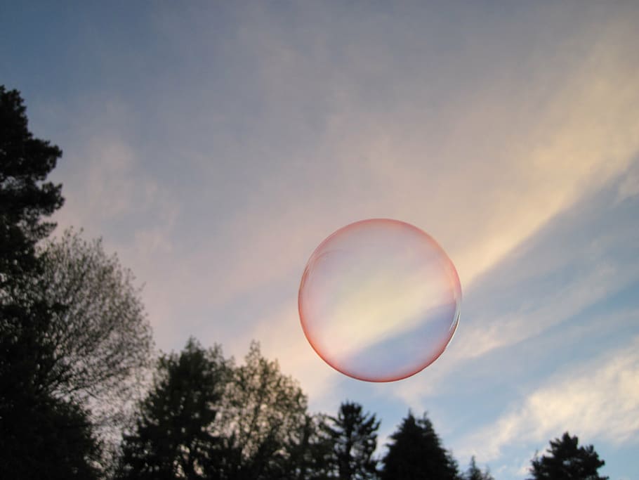 soap bubble, shimmer, sky, trees, forest, fly, colorful, float HD wallpaper