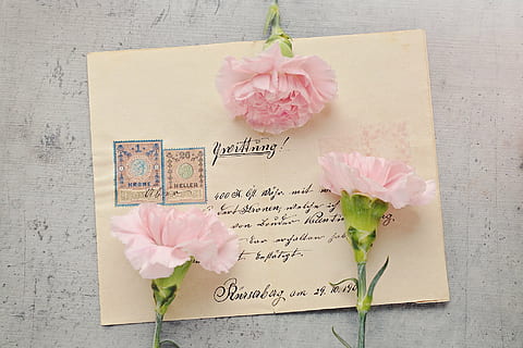 photo of three pink petaled flowers on paper, letters, envelope HD wallpaper