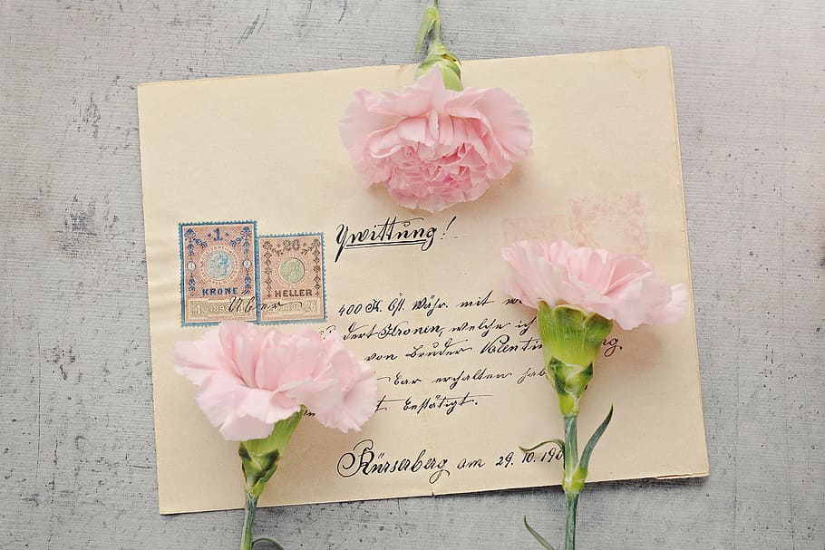 photo of three pink petaled flowers on paper, letters, envelope HD wallpaper