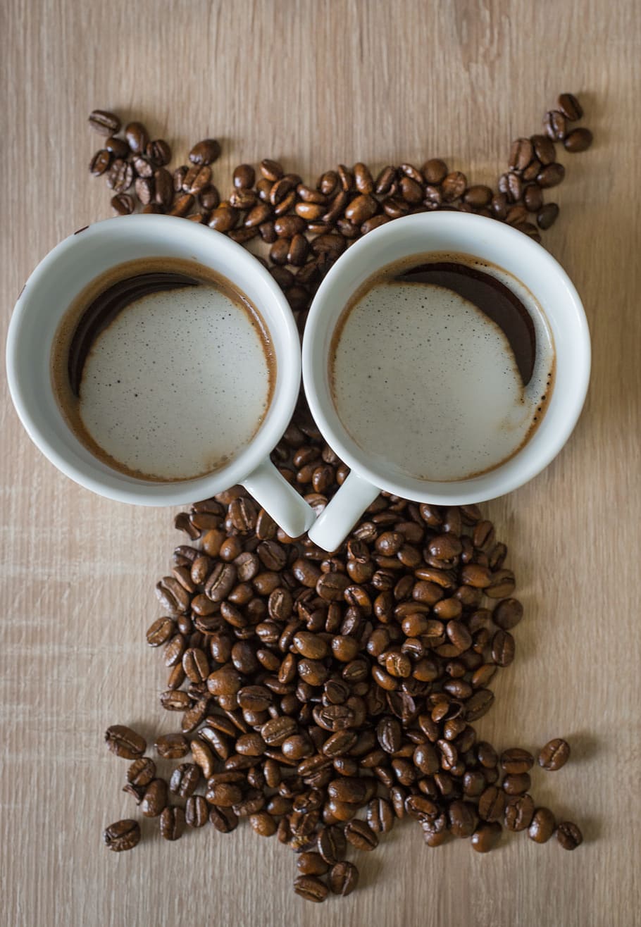 owl, coffee, coffee cup, food and drink, coffee - drink, refreshment HD wallpaper