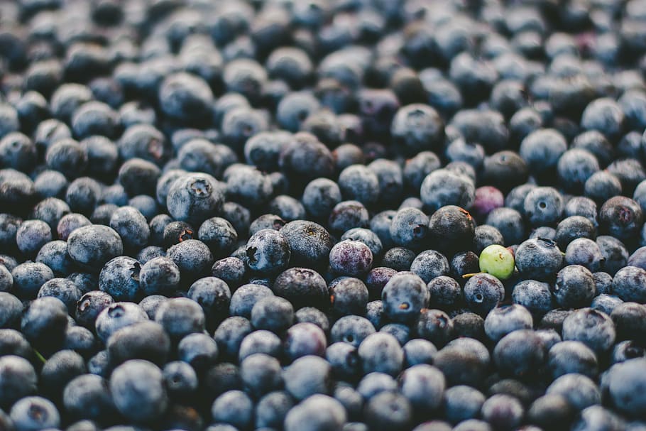closeup photo of blue berries, fruit, round, blueberries, green HD wallpaper