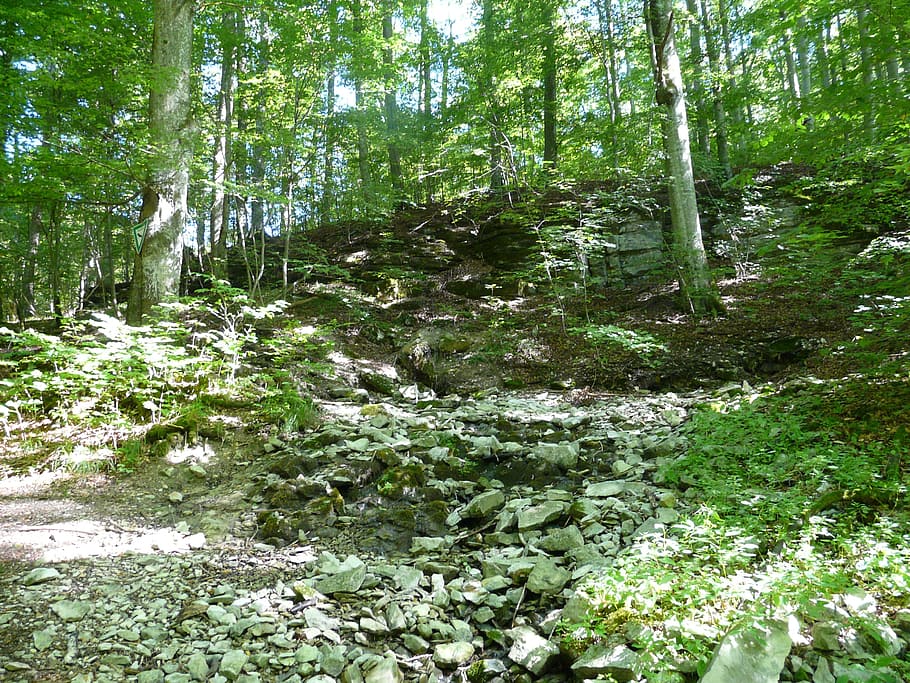 Forest, Bach, Source, Louder, Origin, louder origin, lautertal HD wallpaper