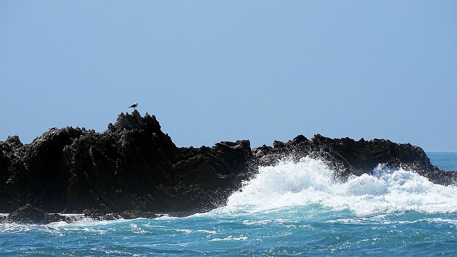 Wave, Stone, Beach, Ocean, sea, clear sky, motion, blue, nature HD wallpaper