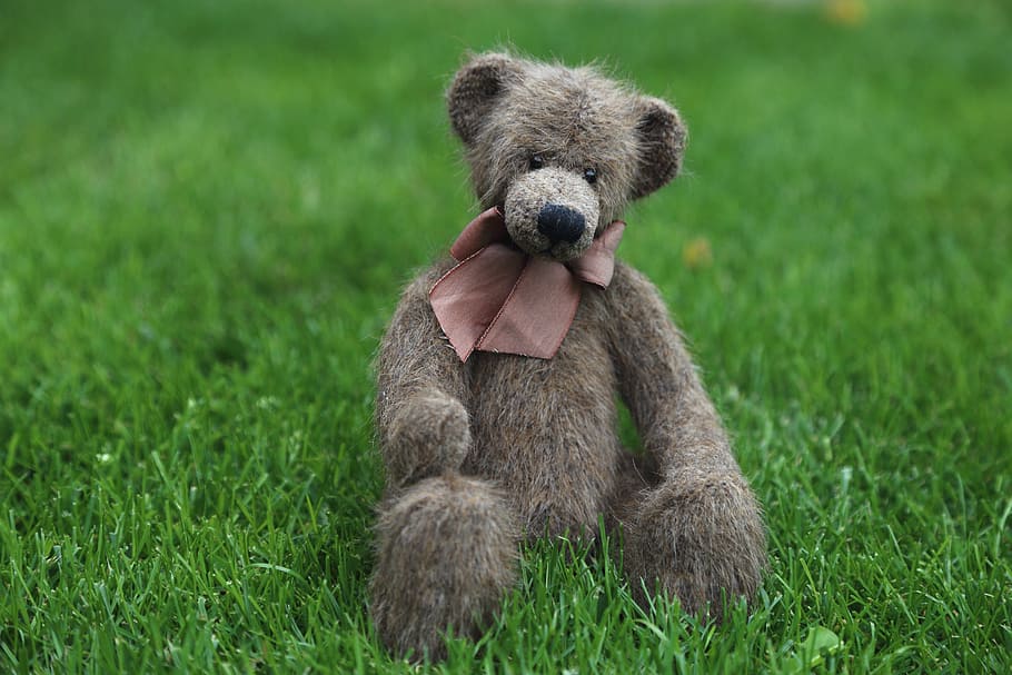 teddy, plush, bears, cute, toys, soft toy, teddy bear, meadow HD wallpaper