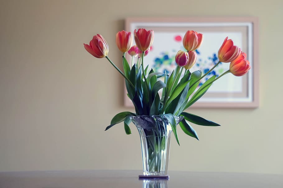 HD wallpaper: pink tulips in clear glass vase, flower vase, flowers