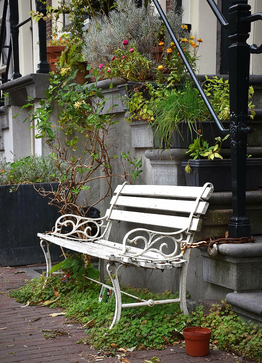 bank, bench, break, amsterdam, sit, rest, flowers, floral decorations HD wallpaper