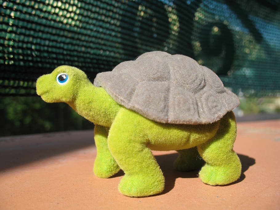 turtle, toy, reptile, animal representation, animal themes HD wallpaper