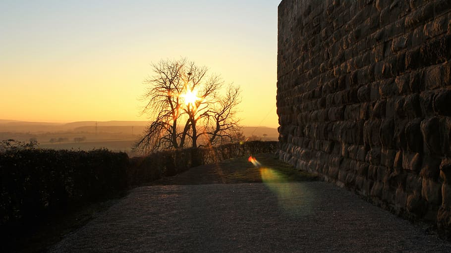 sun, tree, stone, back light, sunset, sky, forest, nature, direction HD wallpaper