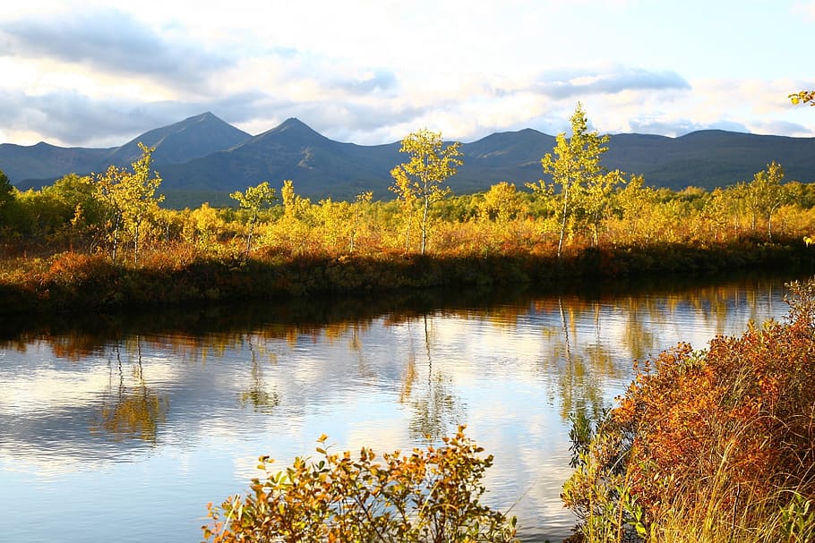 autumn, forest, lake, reflection, autumn forest, golden autumn HD wallpaper