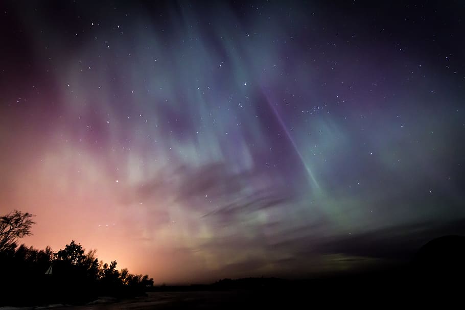 silhouette of trees, night, sky, stars, space, blue, dark, astronomy HD wallpaper