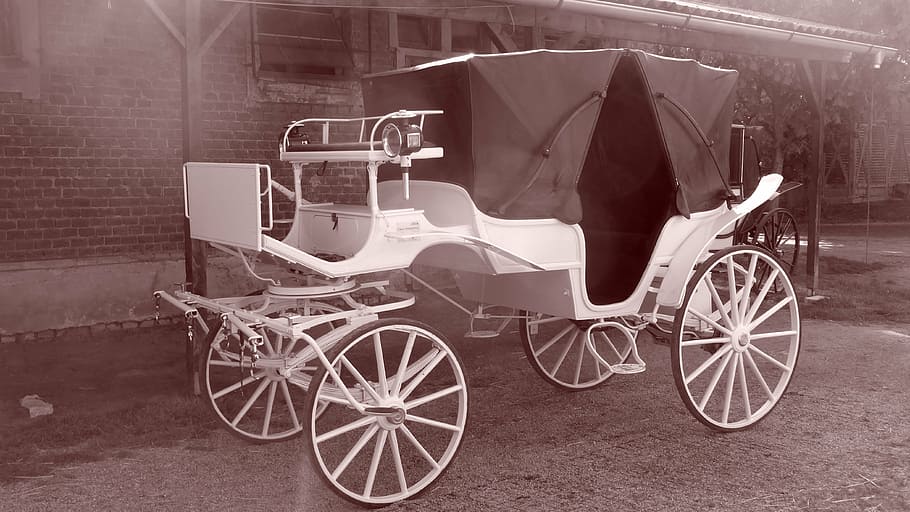 white horse carriage, coach, historically, middle ages, nostalgia, HD wallpaper