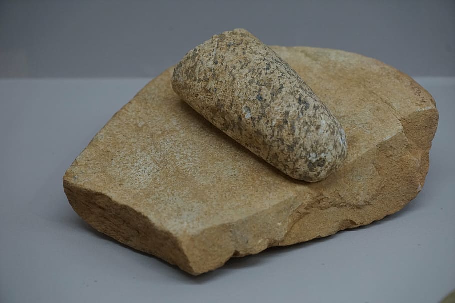neolithic, go stones, go edition, acorn processing, the breadwinner HD wallpaper