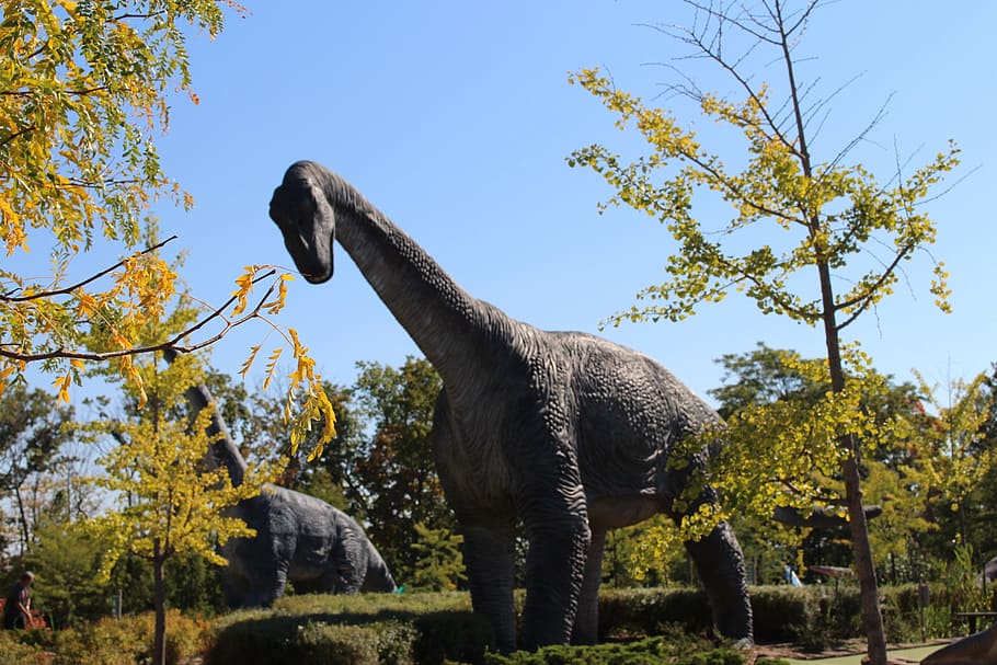 park, dinosaur, prehistory, model, tour, tourism, niagara falls HD wallpaper