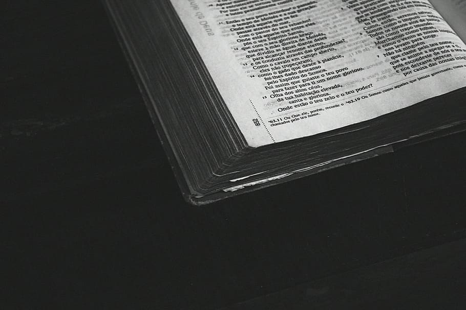 bible, black-and-white, blur, book, close-up, document, focus HD wallpaper
