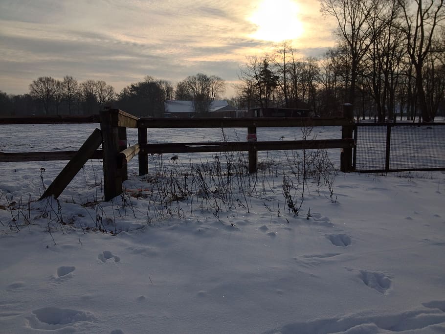 Winter, Snow, Sun, Back Light, snow landscape, sunset, snowfield HD wallpaper