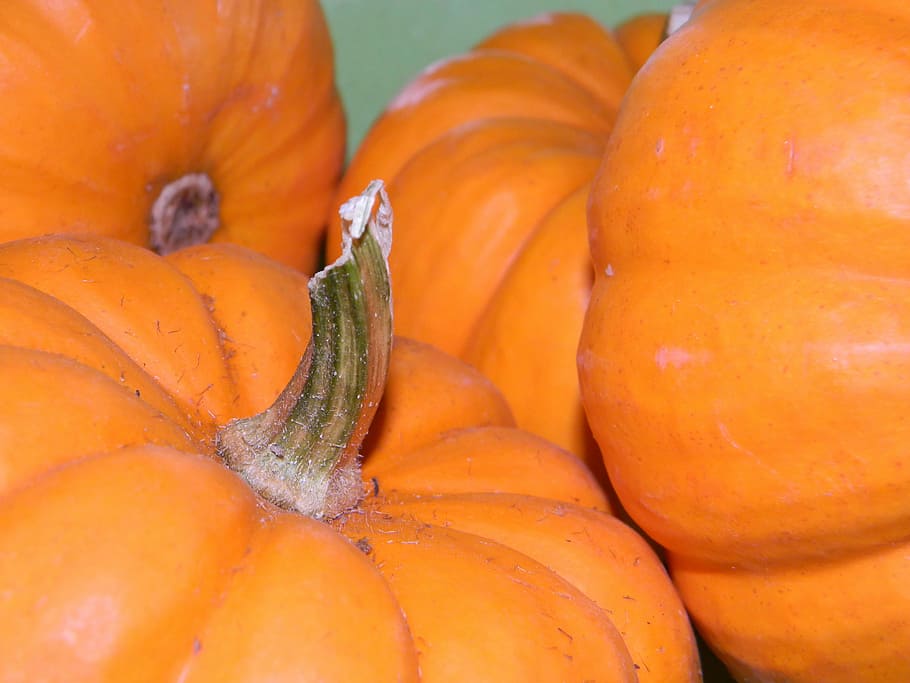 Pumpkins, Autumns, Halloween, orange color, food and drink HD wallpaper