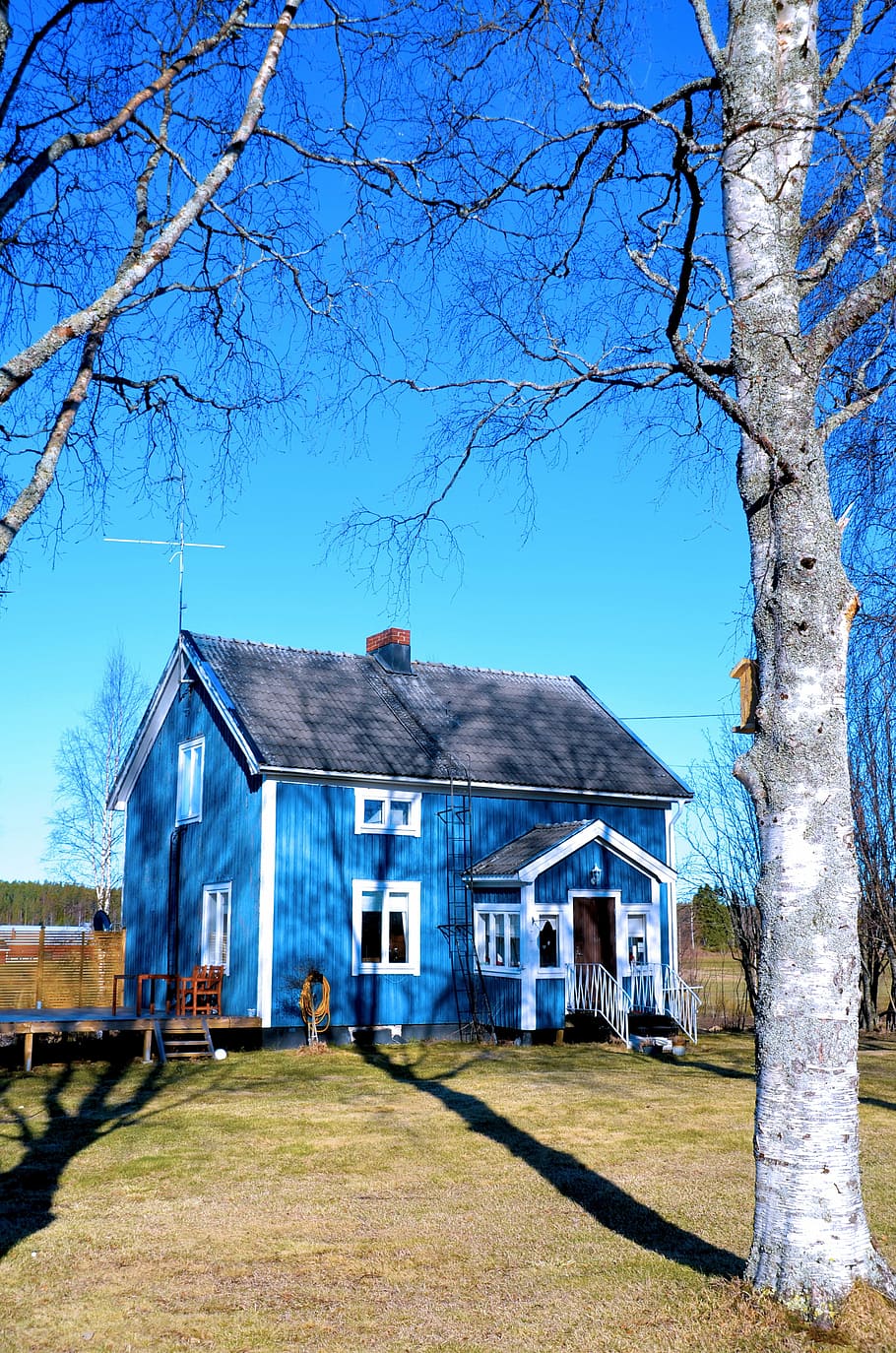 house, ultervattnet, shadows, himmel, birch, architecture, building Exterior HD wallpaper