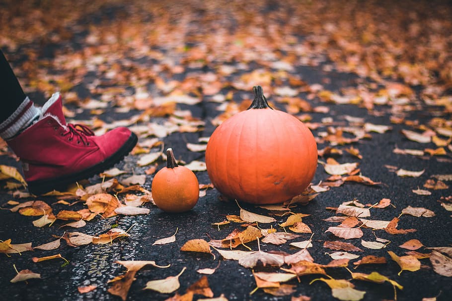 orange pumpkin, person walking towards pumpkin on road surrounded by dried leaves HD wallpaper