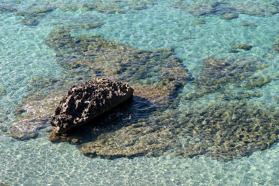 water, sea, wave, blue, clear, rock, nature, beach, summer HD wallpaper