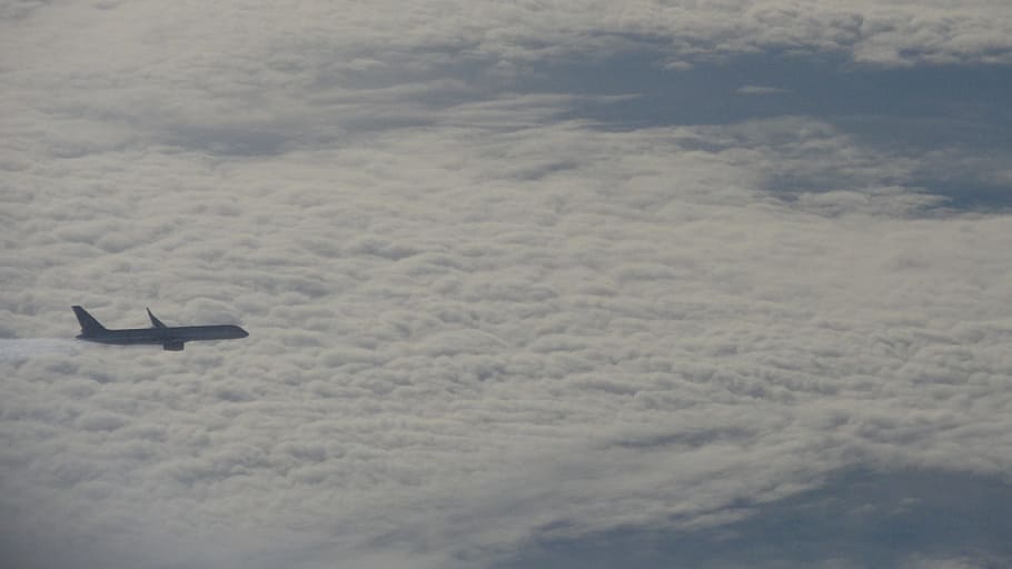 Plane, Airplane, Flight, Travel, aircraft, transportation, aviation HD wallpaper