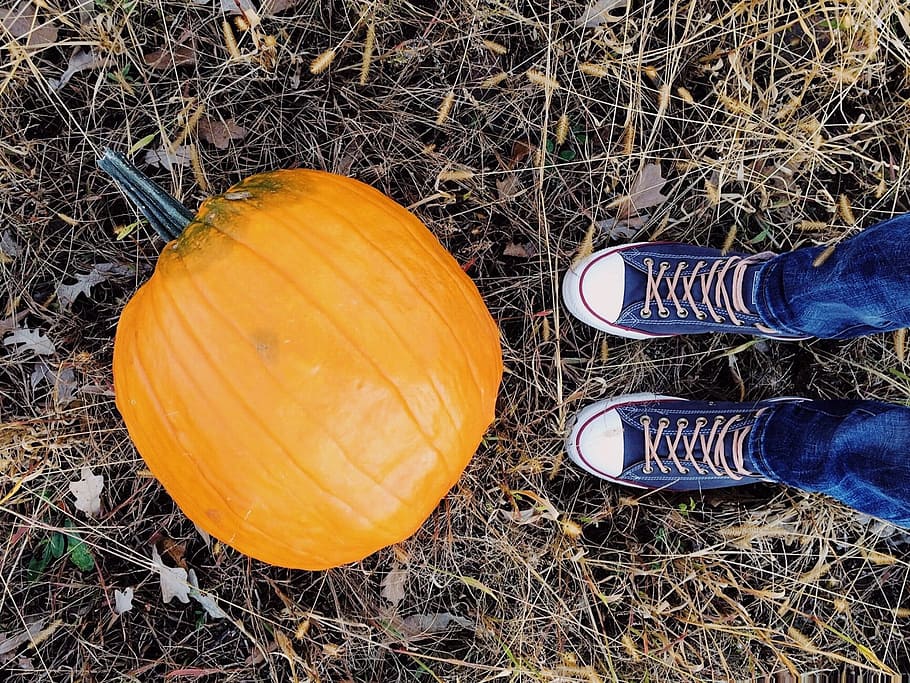 pumpkin, fall autumn, october, halloween, converse, young, low section HD wallpaper