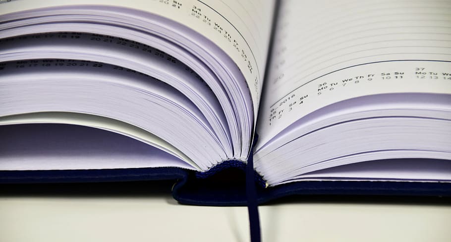 blue and white book, notebook, leave, notes, write down, diary HD wallpaper
