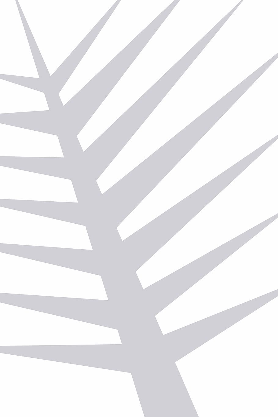clipart, graphics, palma, geometry, line, geometric, grey, texture HD wallpaper