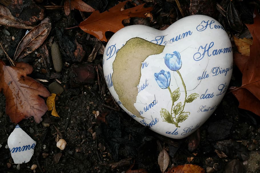 white and blue floral heart shaped stone, bare, dream, love HD wallpaper