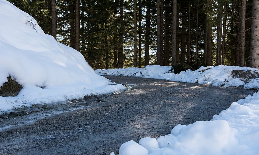 road, winter, wintry, forest, forest path, snow, cold temperature HD wallpaper