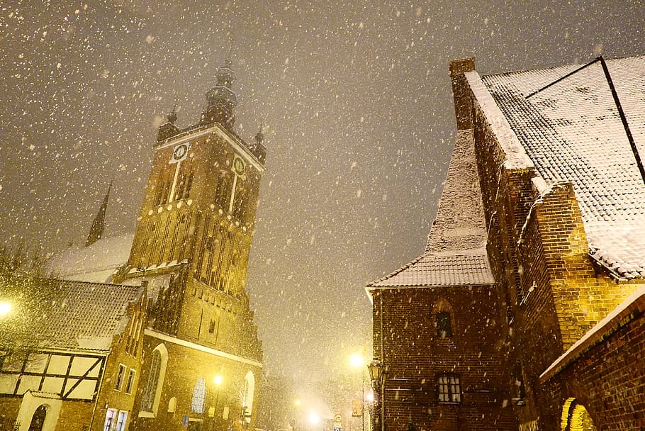cathedral during nighttime, snow, blizzards, it's snowing, city HD wallpaper