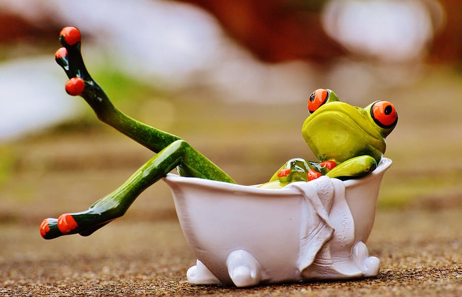 shallow focus photography of green frog, bath, swim, relaxation HD wallpaper