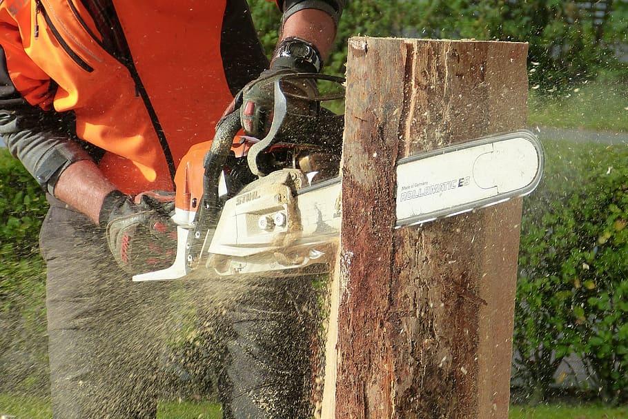 man using chainsaw cutting tree log, wood, artwork, sculpture HD wallpaper