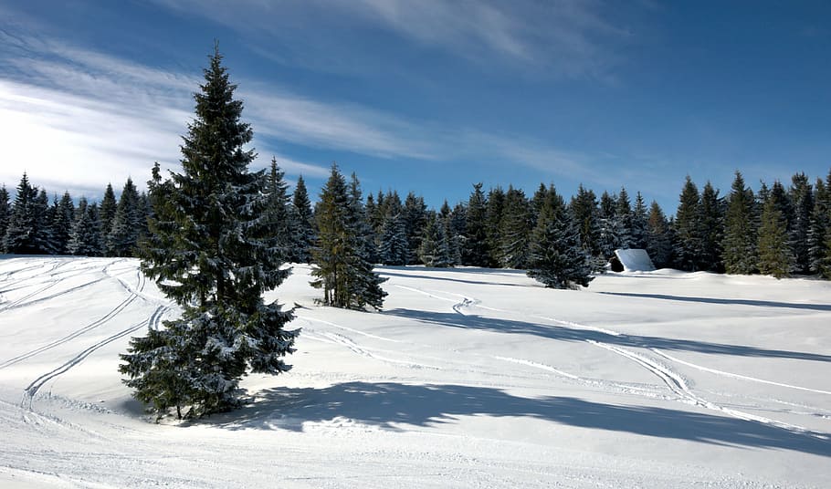 snow ski course, landscape, winter, forest, mountains, beskids HD wallpaper