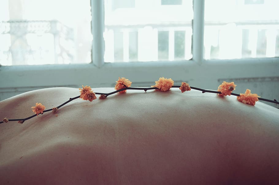 orange flowers on person's body, art, indoors, window, close-up HD wallpaper