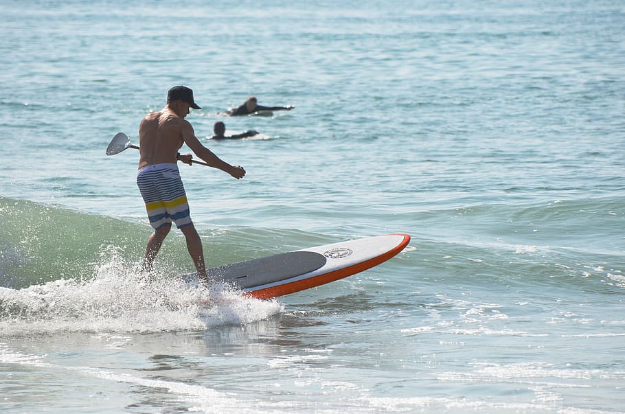 surfing, paddle board, ocean, man, water, motion, sea, leisure activity HD wallpaper