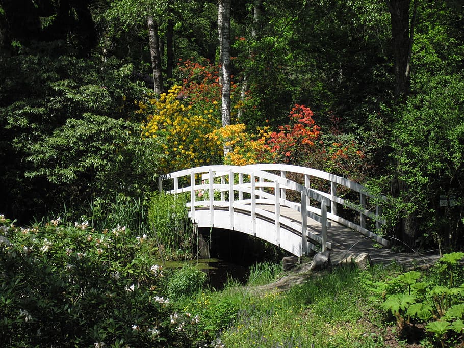 Water, Bridge, Pond, Nature, Landscape, footbridge, garden HD wallpaper