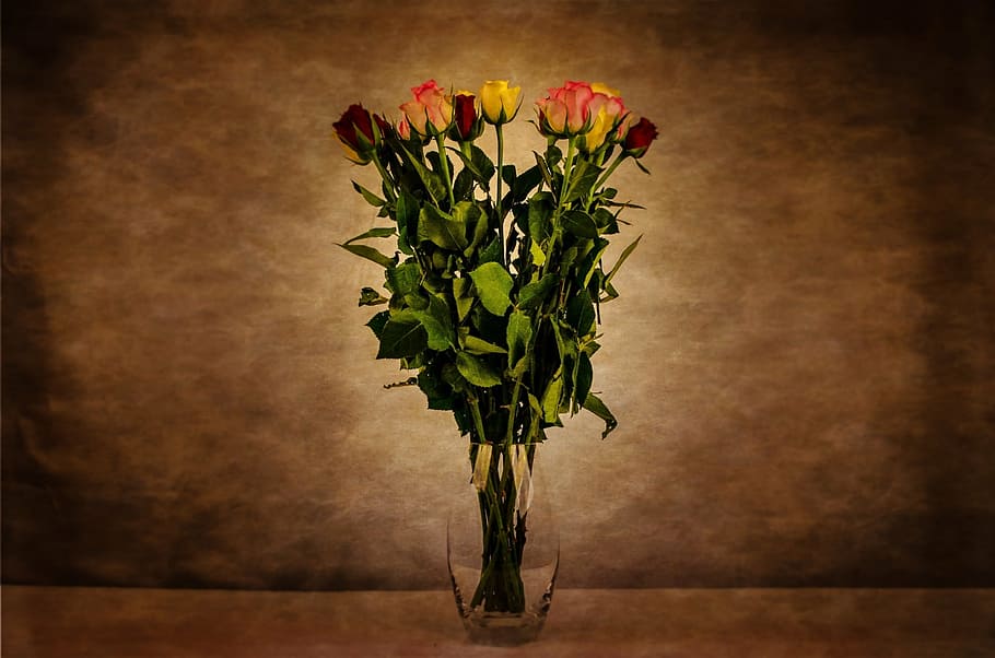 flower, flowers, rose, art, dark, black, white, background HD wallpaper