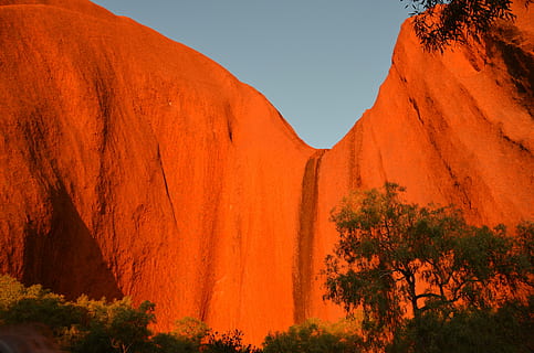 uluru, red rock, aboriginal, australia, tree, rock - object HD wallpaper