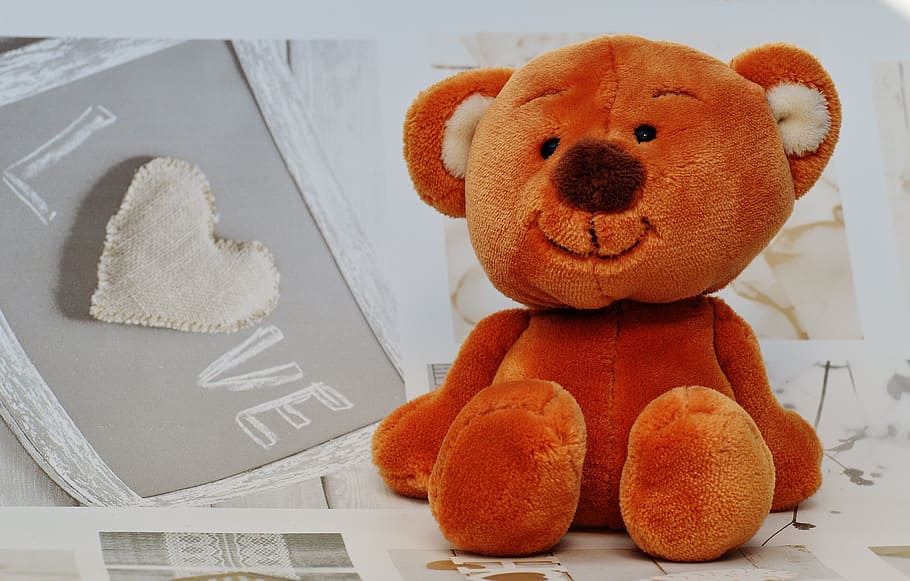 bear, teddy, cute, bears, plush, sweet, funny, teddy bear, animal HD wallpaper