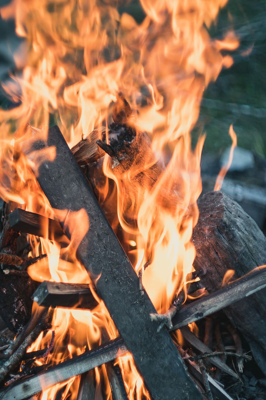Cozy Destruction, closeup photo of bonfire, campfire, burn, wood HD wallpaper